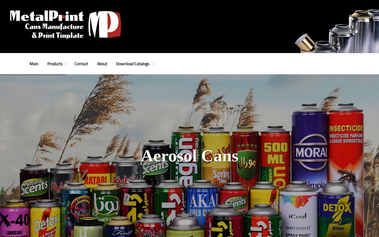 MetalPrint website
